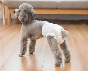 애완 동물 기저귀 패드 개 기저귀 기저귀 매직 깔때기 탈취제 개 기저귀