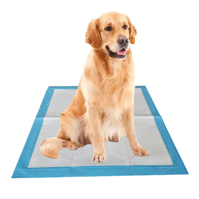 애완동물용 항균 일회용 변기 패드