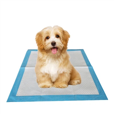 진공 압축 일회용 개 화장실 패드